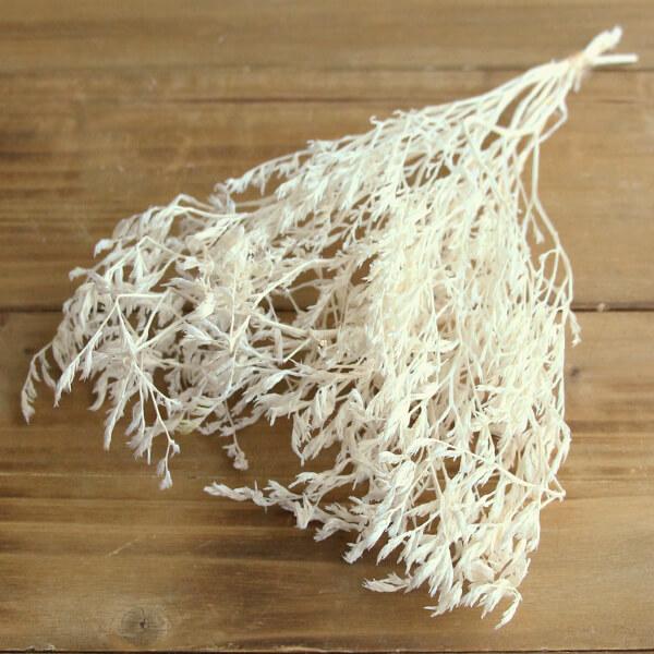 【商品仕様】1束(18g)( allp5 )(10_dras)( 15_asoh )( flwhite )( rsn ) プリザーブドフラワー スワッグ ブーケ ドライフラワー 花束 リース アレンジ 花材 素材 材料 パーツ アレンジメン...