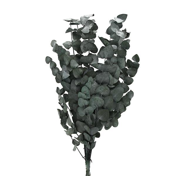 プリザーブドフラワー 即日出荷 大地 ユーカリ ギンマルバ グリーン 18aw Soh 700 造花ドライフラワー専門問屋花びし 通販 Yahoo ショッピング