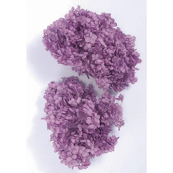 vU[uht[ ԍ o AixEwbh p[v AWTC  z Ԃт vU[uht[ XbO u[P ԑ n_