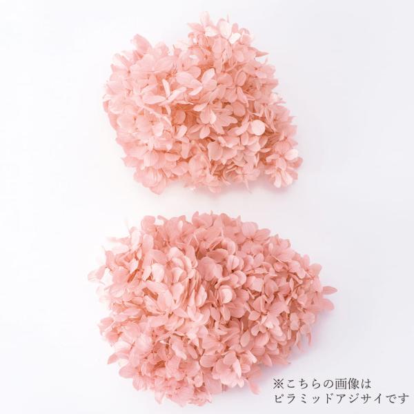 プリザーブドフラワー 花材 即日出荷 アナベル 大 ヘッド クラウドピンク 花材 素材 材料 アジサイ あじさい 紫陽花 花びら ピンク くすみピンク 大地農園