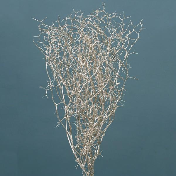 y-hanabishi_soh-02740-935