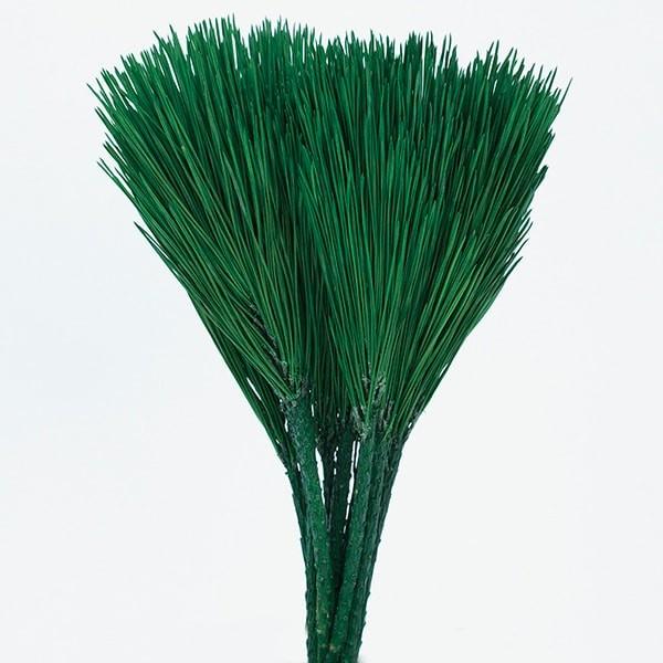 yP5{ 12/02 09:59z vU[uht[ ԍ o ݂₱E O[ a   t [t hCt[ XbO u[P n_