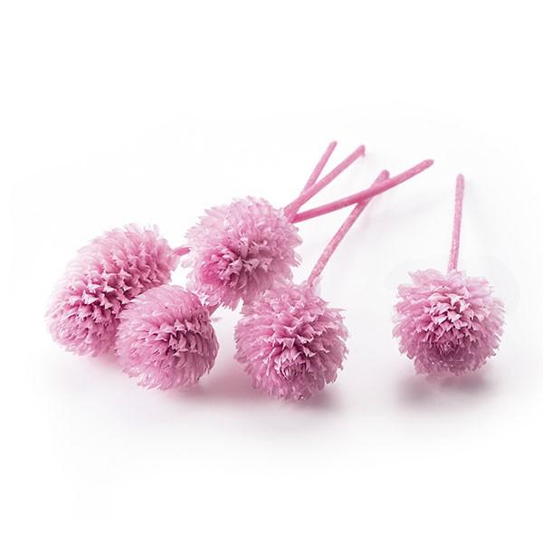 【商品サイズ・内容量】全長約2~4cm花サイズ1~3cm1箱30輪入り( allp5 )(10_dras)( 15_asoh )アレンジを可愛くボリュームアップできる千日紅がプリザーブドで登場しました。こちらは若干の茎を残した【ヘッドのみ】...