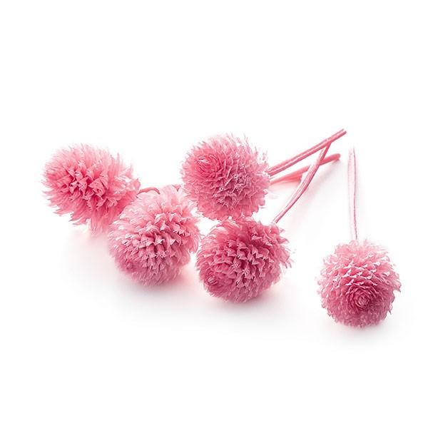 【商品サイズ・内容量】全長約2~7cm花サイズ1~3.5cm1箱30輪入り( allp5 )(10_dras)( 15_asoh )アレンジを可愛くボリュームアップできる千日紅がプリザーブドで登場しました。こちらは若干の茎を残した【ヘッドの...