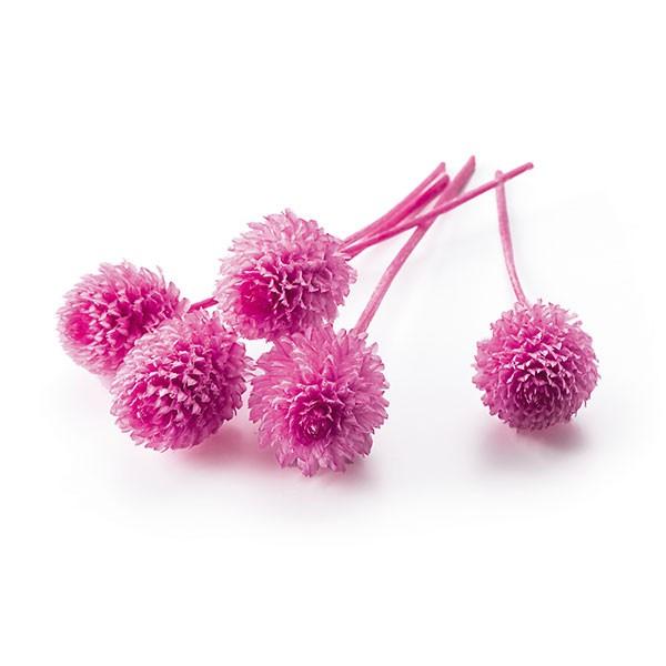 【商品サイズ・内容量】全長約2~7cm花サイズ1~3.5cm1箱30輪入り( allp5 )(10_dras)( 15_asoh )アレンジを可愛くボリュームアップできる千日紅がプリザーブドで登場しました。こちらは若干の茎を残した【ヘッドの...