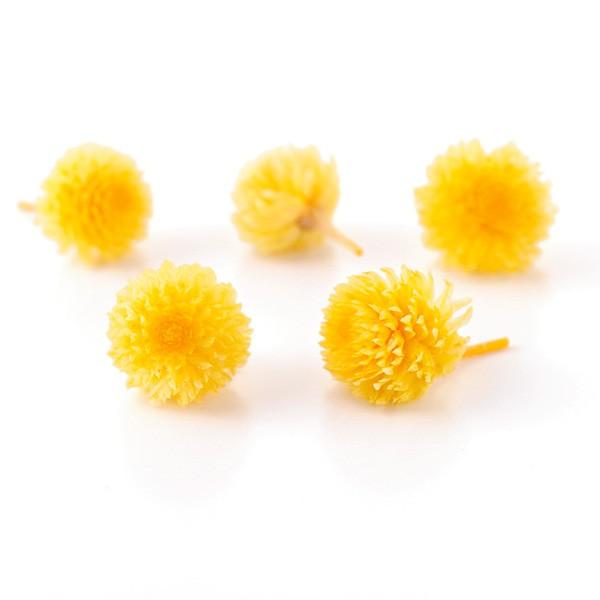 【商品サイズ・内容量】全長約2~4cm花サイズ1~3cm1箱30輪入り( allp5 )(10_dras)( 15_asoh )アレンジを可愛くボリュームアップできる千日紅がプリザーブドで登場しました。ハーバリウムの花材にもおすすめです。(...