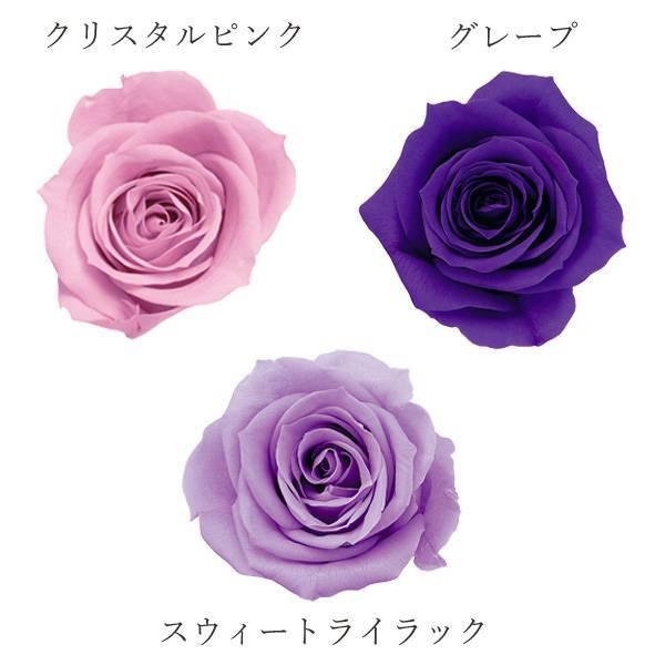 WEB限定】 ローズ・いずみ アレンジ加工 プリザーブドフラワー薔薇 - フラワー/ガーデン - labelians.fr WEB限定】 ローズ・いずみ アレンジ加工 プリザーブドフラワー薔薇 - フラワー/ガーデン - labelians.fr