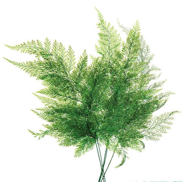 【商品サイズ】葉サイズ約17~25cm約5枚※こちらは防虫加工商品です。※材料により、多少の濃淡が出ます。( allp5 )(10_dras)( 15_asoh )( prfn )軽くて繊細!表情豊かなリーフです。ファーンならではの繊細で独...