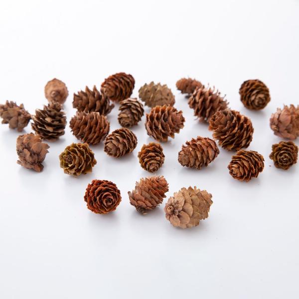 【商品仕様】1袋約90g入り実径約1.5~3cm【お伝えしたいこと】※木の実は自然素材の性質上、割れや欠け・潰れが含まれる場合があります。( 10_dras )( 15_asoh )( allp5 )国産の使いやすい定番人気の木の実です。リ...