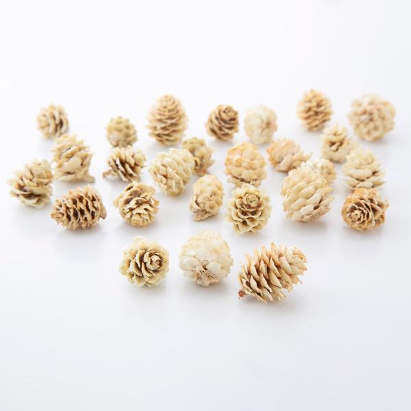 【商品仕様】1袋約65g入り実径約1.5~3cm【お伝えしたいこと】※木の実は自然素材の性質上、割れや欠け・潰れが含まれる場合があります。( 10_dras )( 15_asoh )( allp5 )国産の使いやすい定番人気の木の実です。リ...