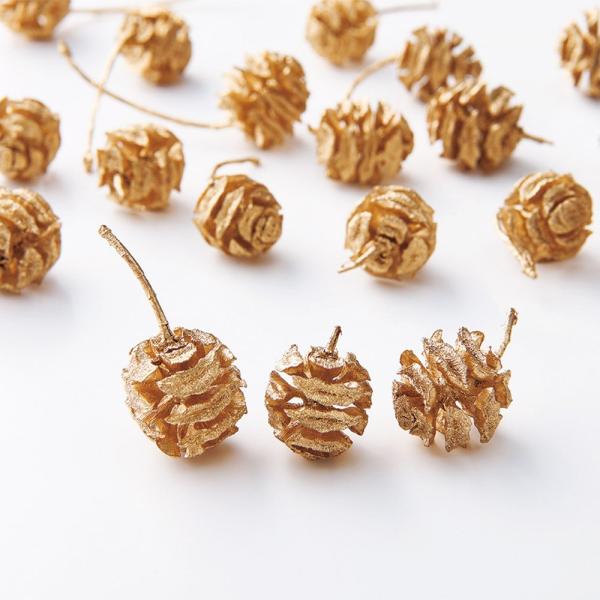 【商品仕様】実径約1.8-3cm1袋約20個入り( allp5 )(10_dras)( 15_asoh )( 2024AW )面白味のある形の木の実。まるでさくらんぼのような枝も付いていてぶら下げのアレンジにしても。( gldslvpt )...