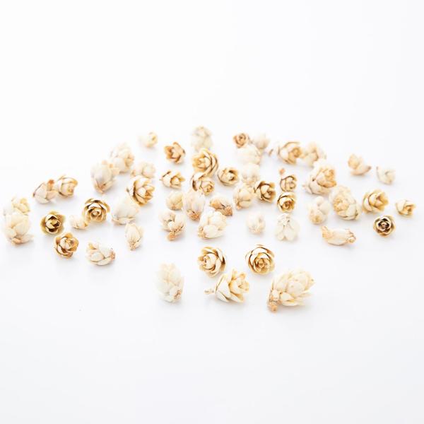 【商品仕様】実径約1cm(約25g・約130~160個)【お伝えしたいこと】※木の実は自然素材の性質上、割れや欠け・潰れが含まれる場合があります。( 10_dras )( 15_asoh )( allp5 ) 木の実 フルーツ 果実 ナッツ...