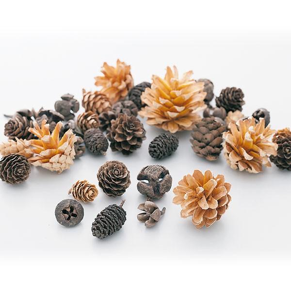 【商品仕様】約100g・約60コ~70コ(松カサ・ミニツガ・ミニヤシャブシ・ピナスカプリシャス・ミニバクリ・カラ松・フヨウの実)【お伝えしたいこと】※木の実は自然素材の性質上、割れや欠け・潰れが含まれる場合があります。( allp5 )(1...