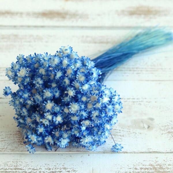 【商品サイズ】花サイズ:約1~1.5cm1束約18g/約300本入り【お伝えしたいこと】※花のサイズに個体差があったり、一部に折れている花や、取れている花が含まれる場合がございます。※植物の特性上、ステム部分に原料由来のワタ状のものが付着し...