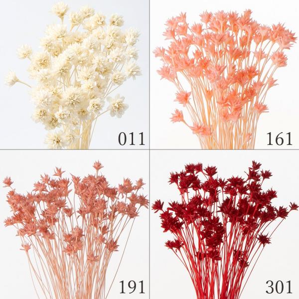 【商品仕様】全長約35cm(約23g・約80本) 花サイズ:約1~1.5cm( 10_202308 )(10_dras)( 15_asoh )( flwhite )( redpk )( brwnbeig ) ドライフラワー スワッグ ブーケ...