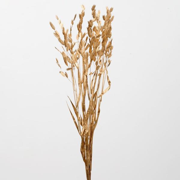 【商品仕様】全長：約70cm穂全長：2〜4cm(※個体差があります)1束約10本入り( 2025AW )( allp5 )( 15_asoh )穂の厚みが1mmもない程度の平らで、軽やかにゆらゆら揺れる表情が出せる穂もの素材です。大きめの穂...