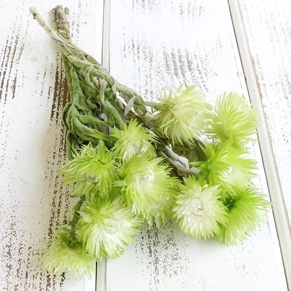 y|Cg5{ 11/03 09:59z hCt[ ԍ o Vo[f[W[ c[gO[ Z hCt[ XbO u[P ԑ  n_