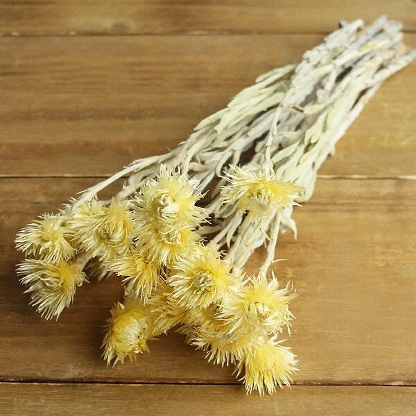 y|Cg5{ 11/03 09:59z hCt[ ԍ o y40OFFzԌ ~jVo[f[W[ GWFCG[ XbO  n_