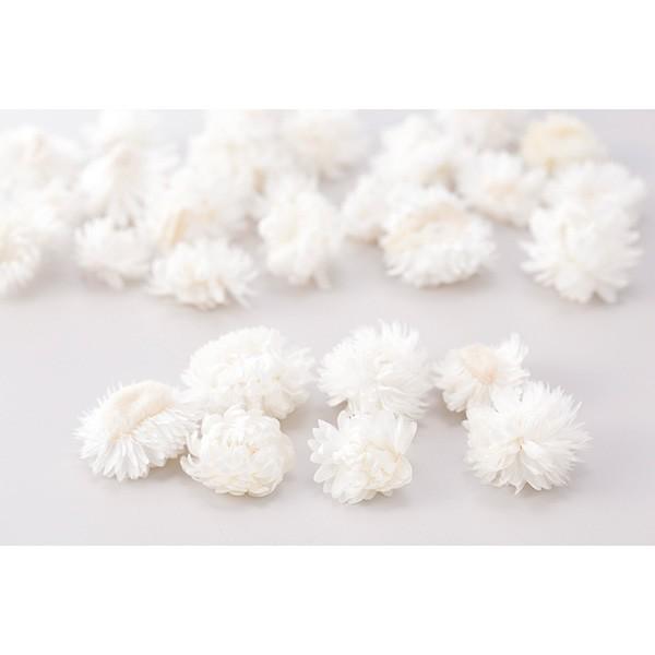 【商品サイズ】花サイズ約2~4cm約10g・約20~25輪入り( allp5 )(10_dras)( 15_asoh )( flwhite ) ドライフラワー スワッグ ブーケ ドライフラワー花束 ドライフラワースワッグ リース アレンジ ...
