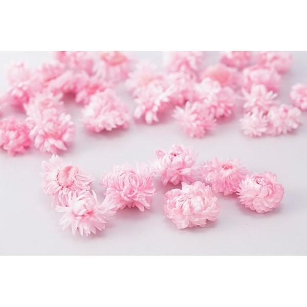 【商品サイズ】花サイズ約2~4cm約10g・20~25輪※こちらは防虫加工商品です。( allp5 )(10_dras)( 15_asoh )( redpk ) ドライフラワー スワッグ ブーケ ドライフラワー花束 ドライフラワースワッグ ...