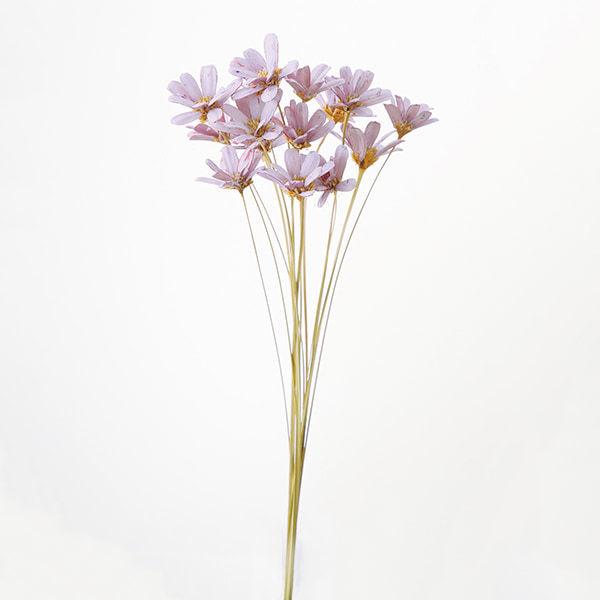 ハンドメイドフラワー 即日出荷 大地農園 プチフラワー 材料 花材 ライトパープル ハンドメイドフラワー ドライフラワー スワッグ ブーケ Soh 410 造花ドライフラワー専門問屋花びし 通販 Yahoo ショッピング