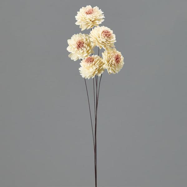 【商品仕様】全長約38cm花径:約5-6cm5本入り( 2026SS )( allp5 )( 15_asoh )ほんのり色づいた花芯が可憐なソラフラワーです。ブーケや髪飾り、アレンジの材料としてはもちろん、ブライダルやインテリアなど様々なシ...
