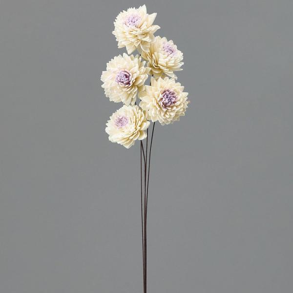 【商品仕様】全長約38cm花径:約5-6cm5本入り( 2026SS )( allp5 )( 15_asoh )ほんのり色づいた花芯が可憐なソラフラワーです。ブーケや髪飾り、アレンジの材料としてはもちろん、ブライダルやインテリアなど様々なシ...