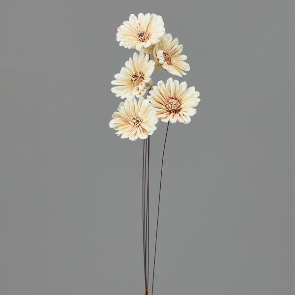 ハンドメイドフラワー 花材 即日出荷 ソーラーデイジー 白／ブラウン 花材 素材 材料 パーツ ソラフラワー ハンドメイドフラワー 白 デイジー 卸 大地農園
