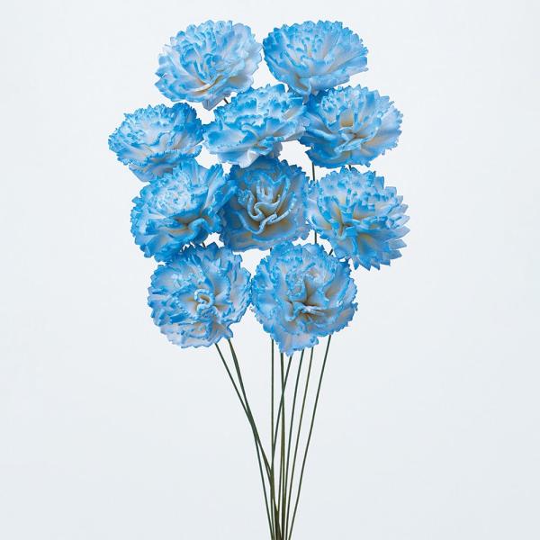 【商品仕様】全長約25cm花径約3.5~4cm1束10本入り【お伝えしたいこと】こちらの商品はタイなどの水田で育てられている植物を原料としているため一部に素材のままの茶色い部分が残っている場合があります。※すべて手作業で製造しているため、表...