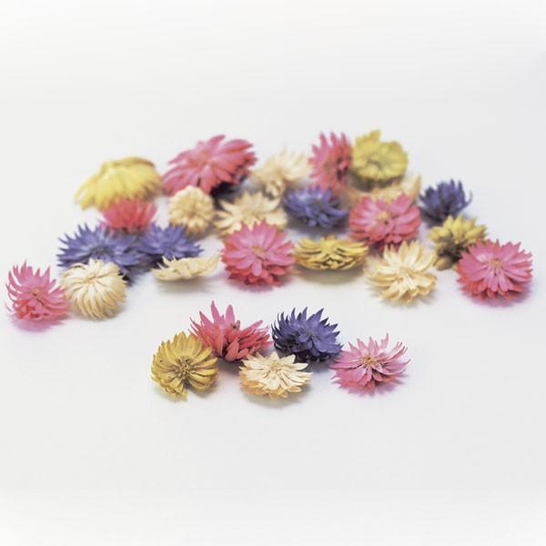 【商品仕様】花サイズ:約1.5~2.5cm約15g【お伝えしたいこと】※木の実は自然素材の性質上、割れや欠け・潰れが含まれる場合があります。( allp5 )(10_dras)( 15_asoh )小さなかわいらしい形と色でいろんな場面で使...