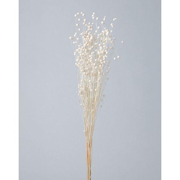 【商品サイズ】全長約50cm約25g( allp5 )(10_dras)( 15_asoh )可憐で丸い花姿で、エレガントさを出せるドライフラワーです。高さもあるため、アレンジのアクセントに便利です。( flwhite )( dbridl ...