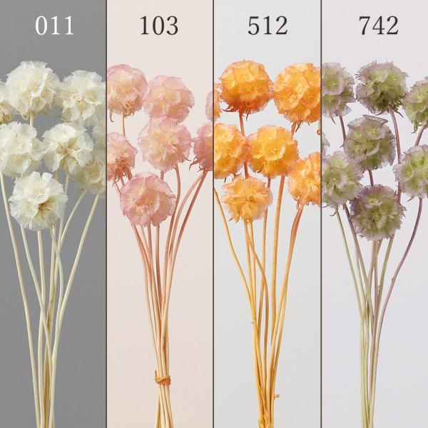 【商品仕様】全長約20〜30cm花房約2〜4cm程度(個体差がございます)( 2025SS )( allp5 )( 15_asoh )まるでポンポンのように丸い花房がかわいらしいスカビオサのドライフラワーです。定番のホワイトから絶妙なニュア...