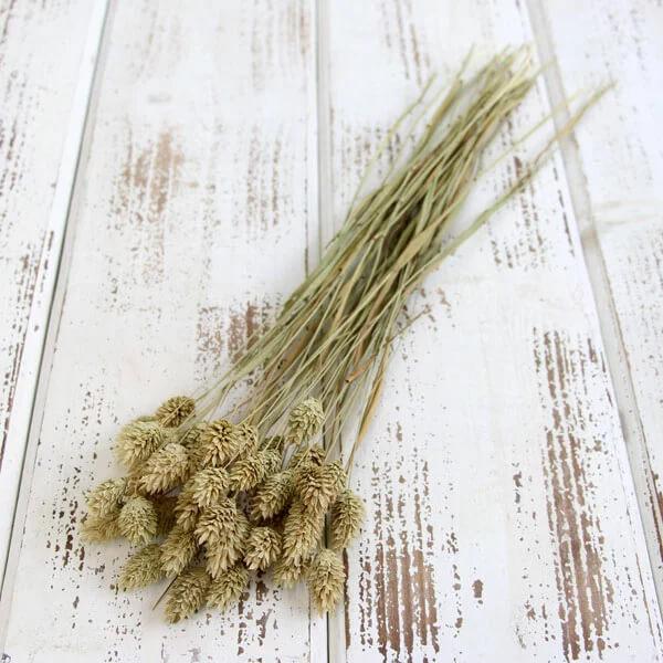 【商品サイズ】全長約40cm約20g【お伝えしたいこと】※植物の生育状態や染色時の気温や湿度等により、商品の色味に差が生じます。画像より緑がかっている場合があります。※植物自体の特性で穂のボリュームの差が大きい商品です。同じものが一つとして...