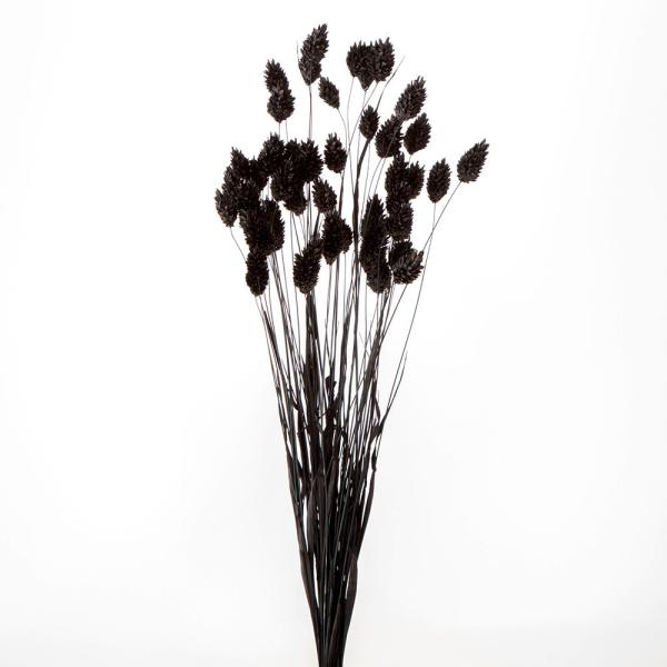 【商品仕様】全長約40〜50cm1束(約20〜25g)【お伝えしたいこと】※植物自体の特性で穂のボリュームの差が大きい商品です。同じものが一つとしてない商品との一期一会をお楽しみください。( 10_dras )( 15_asoh )( dr...