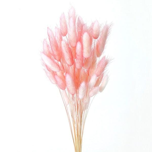 ドライフラワー 》 フラワーコーン ピンク リース 木の実 花 スワッグ 花材 素材 即日出荷 アレンジ 装飾 大地農園 材料 ドライフラワー 》 フラワーコーン ピンク リース 木の実 花 スワッグ 花材 素材 即日出荷 アレンジ 装飾 大地農園 材料