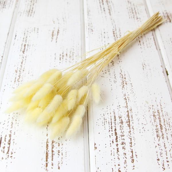 【商品サイズ】全長約40cm約15g【お伝えしたいこと】※穂の大きさにばらつきがあります。(画像より短い場合があります)※ドライ加工した穂系の商品の特性上、穂が落ちやすくなっております。ご了承の上、お買い上げください。ヘアスプレーをかけてい...