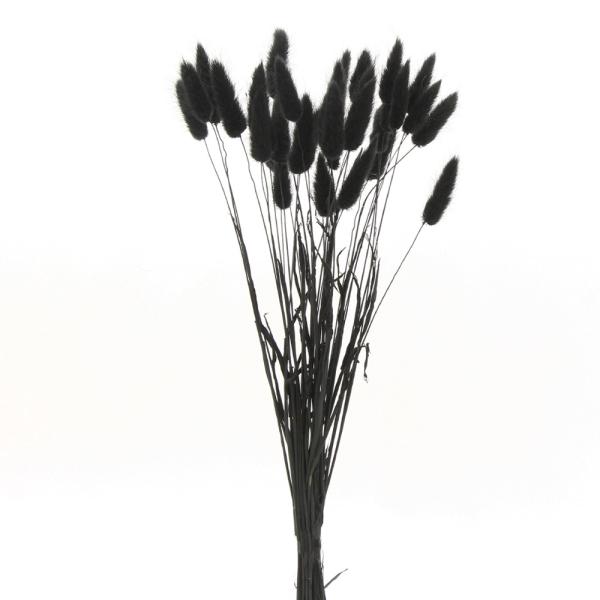 【商品サイズ】 全長約40cm 約15g【お伝えしたいこと】※穂の大きさにばらつきがあります。(画像より短い場合があります)※ドライ加工した穂系の商品の特性上、穂が落ちやすくなっております。ご了承の上、お買い上げください。ヘアスプレーをかけ...