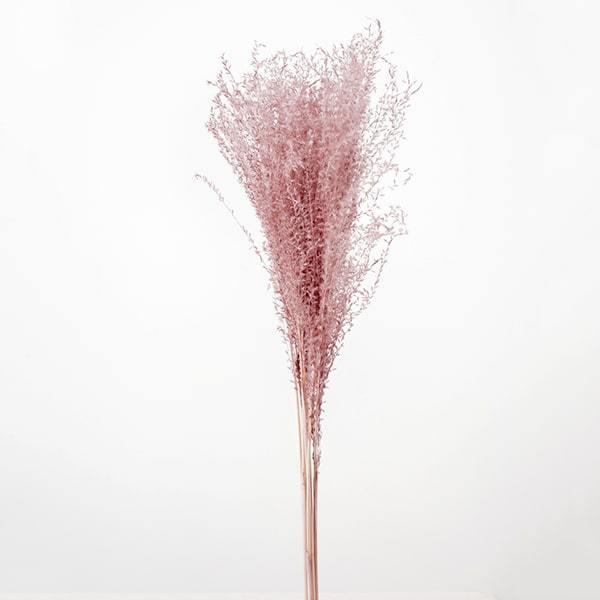 ドライフラワー 即日出荷 大地農園 ススキ パンパス系 クラウドピンク 穂 ふわふわ スティファ系 ドライフラワー スワッグ ブーケ 花束 Soh 191 造花ドライフラワー専門問屋花びし 通販 Yahoo ショッピング