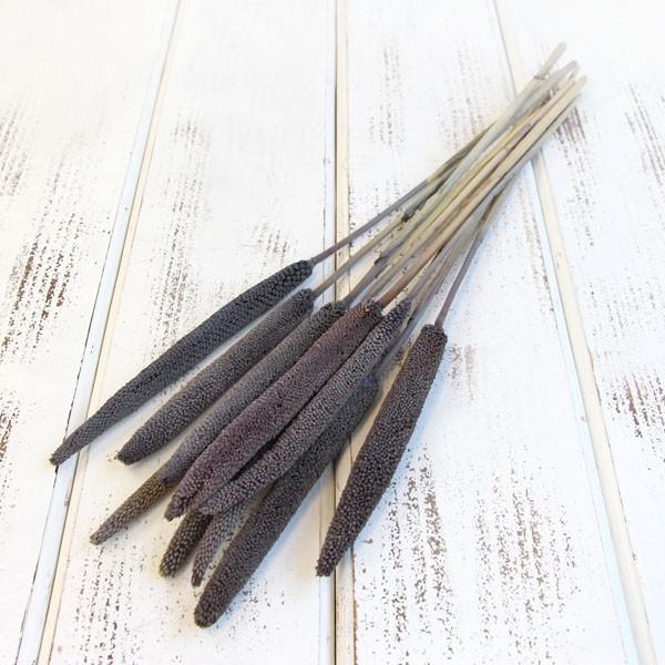 ドライフラワー 即日出荷 大地農園 ババラ 小 ブルーグレー 19ss ドライ 自然素材 ナチュラルドライフラワー インテリア プリ Soh 600 造花ドライフラワー専門問屋花びし 通販 Yahoo ショッピング