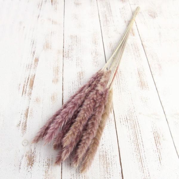 �h���C�t�����[ �ԍ� �����o�� �y40��OFF�z ���Ԍ������ �e�[�����[�h (51340-030) �p���p�X �p���p�X�n �� �ӂ�ӂ� �h���C�t�����[ �X���b�O ��n�_��