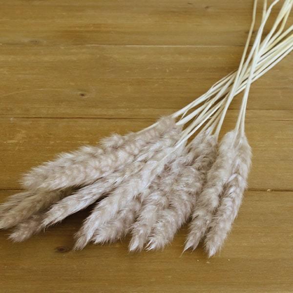 【商品仕様】1束(約12本)全長:約55cm穂の長さ:10~20cm【お伝えしたいこと】※ドライ加工した商品の特性上、穂が落ちやすくなっております。ヘアスプレーや当店で取り扱っているネオ・ルシールを使っていただくと落ちやすさが軽減されますの...