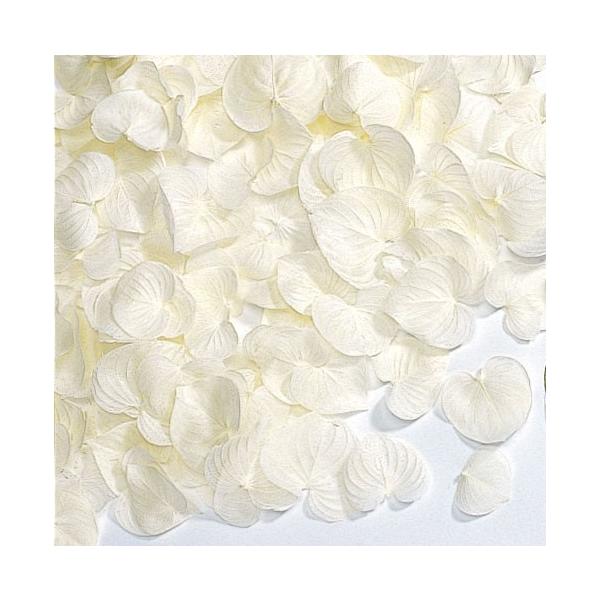 【商品サイズ・内容量】約12g約150枚( allp5 )(10_dras)( 15_asoh )ハート型のドライ素材のかわいいリーフです。( flwhite ) リーフ 葉 白 ホワイト プリザーブドフラワー スワッグ ブーケ ドライフラ...