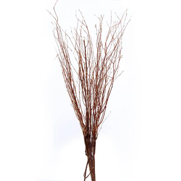 【商品仕様】全長約100cm前後1束約8本入り( allp5 )(10_dras)( 15_asoh )花器に入れるだけでシンプルなインテリアやディスプレイに。( natrgr )( brwnbeig ) 枝 白樺 ドライフラワー スワッグ...