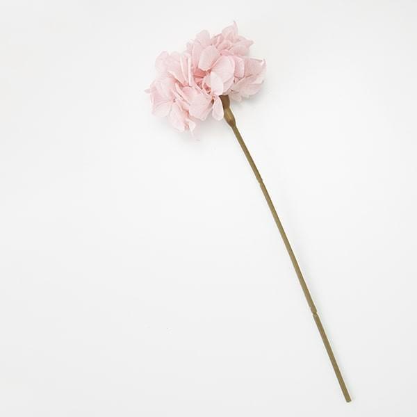 プリザーブドフラワー 即日出荷 大地農園 束ねる ロイヤルアジサイ あじさい 紫陽花 プリザ 花材 材料 素材 さくらピンク ドライフラワー Soh 111 造花ドライフラワー専門問屋花びし 通販 Yahoo ショッピング