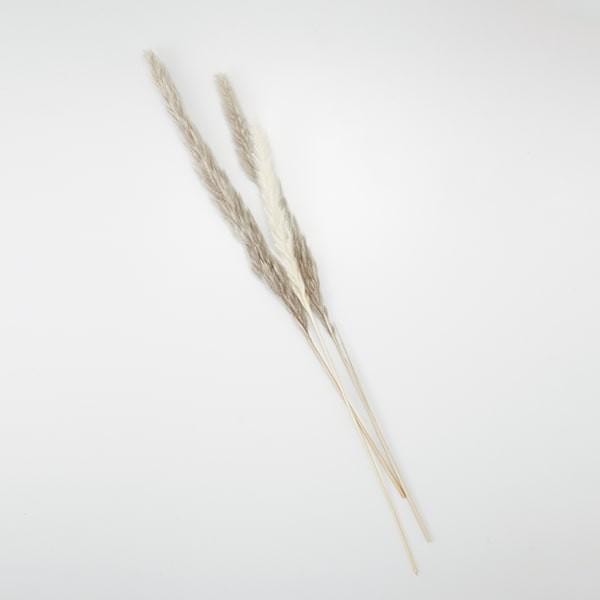 【商品仕様】全長約55cm3本【お伝えしたいこと】※ドライ加工した商品の特性上、穂が落ちやすくなっております。ヘアスプレーや当店で取り扱っているネオ・ルシールを使っていただくと落ちやすさが軽減されますので、気になる場合はお試しください。( ...