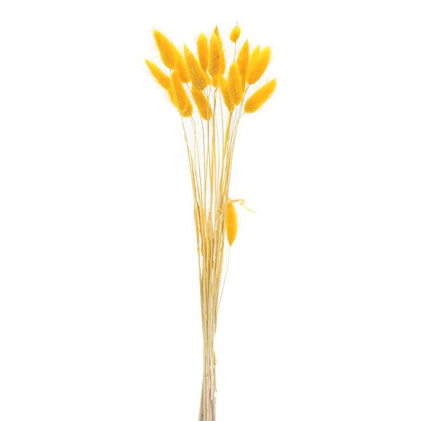 ドライフラワー 花材 即日出荷 ポピー ラグラス イエロー 穂 ふわふわ イエロー 黄色 花材 材料 リース ブーケ 手作り ハンドメイド 花束 Sop Dys 0021 Y 造花ドライフラワー専門問屋花びし 通販 Yahoo ショッピング