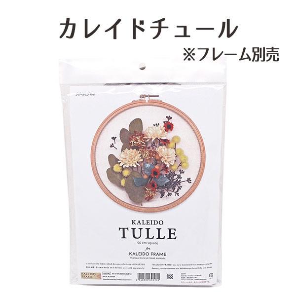 s nhCh  AWx[X toׁTZC JCh`[ 50cmp hJg JCht[ ޗ f nhCh 