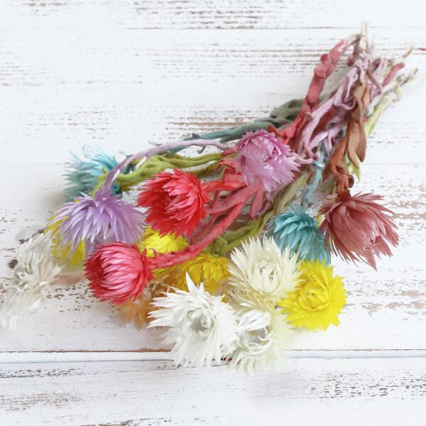 y|Cg5{ 11/03 09:59z hCt[ ԍ o Vo[fCW[ CgJ[A\[g Vo[f[W[ ԍ f ޗ ԑ f