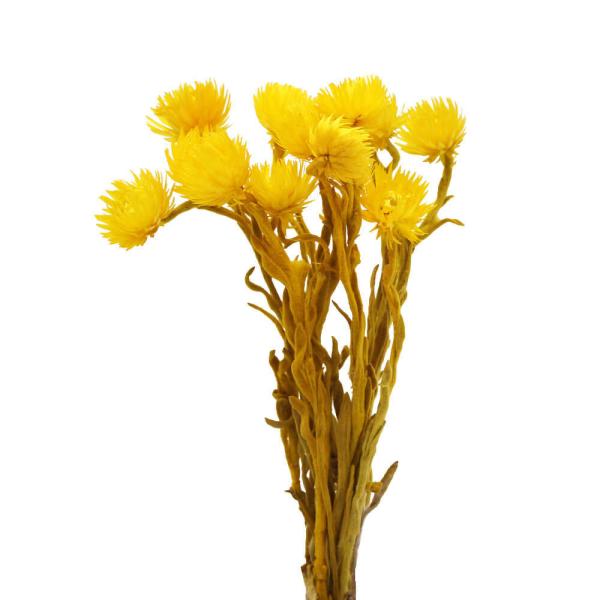 y|Cg5{ 11/03 09:59z hCt[ ԍ o Vo[fCW[ T}[CG[ Vo[f[W[ ԍ f ޗ p[c ԑ f