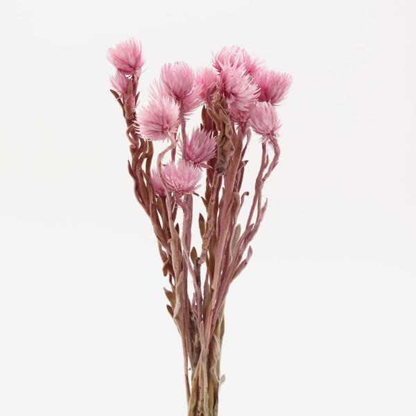 y|Cg5{ 11/03 09:59z hCt[ ԍ o Vo[fCW[ sN Vo[f[W[ ԍ f ޗ p[c XbO DIY f